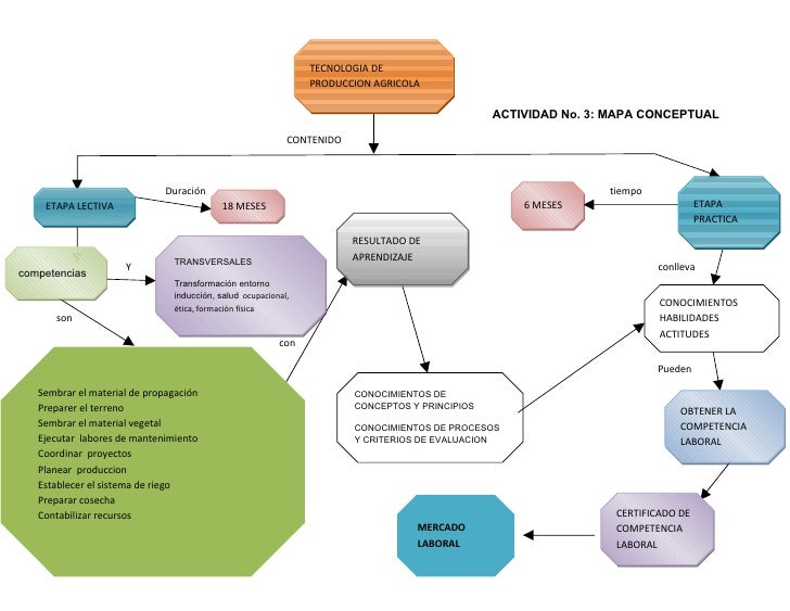 Actividad no 3 mapa conceptual