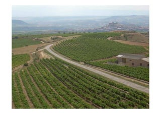 Comentario de Paisajes Agrarios e Industriales
