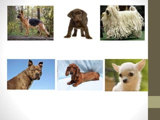 Actividad para niños paso 1