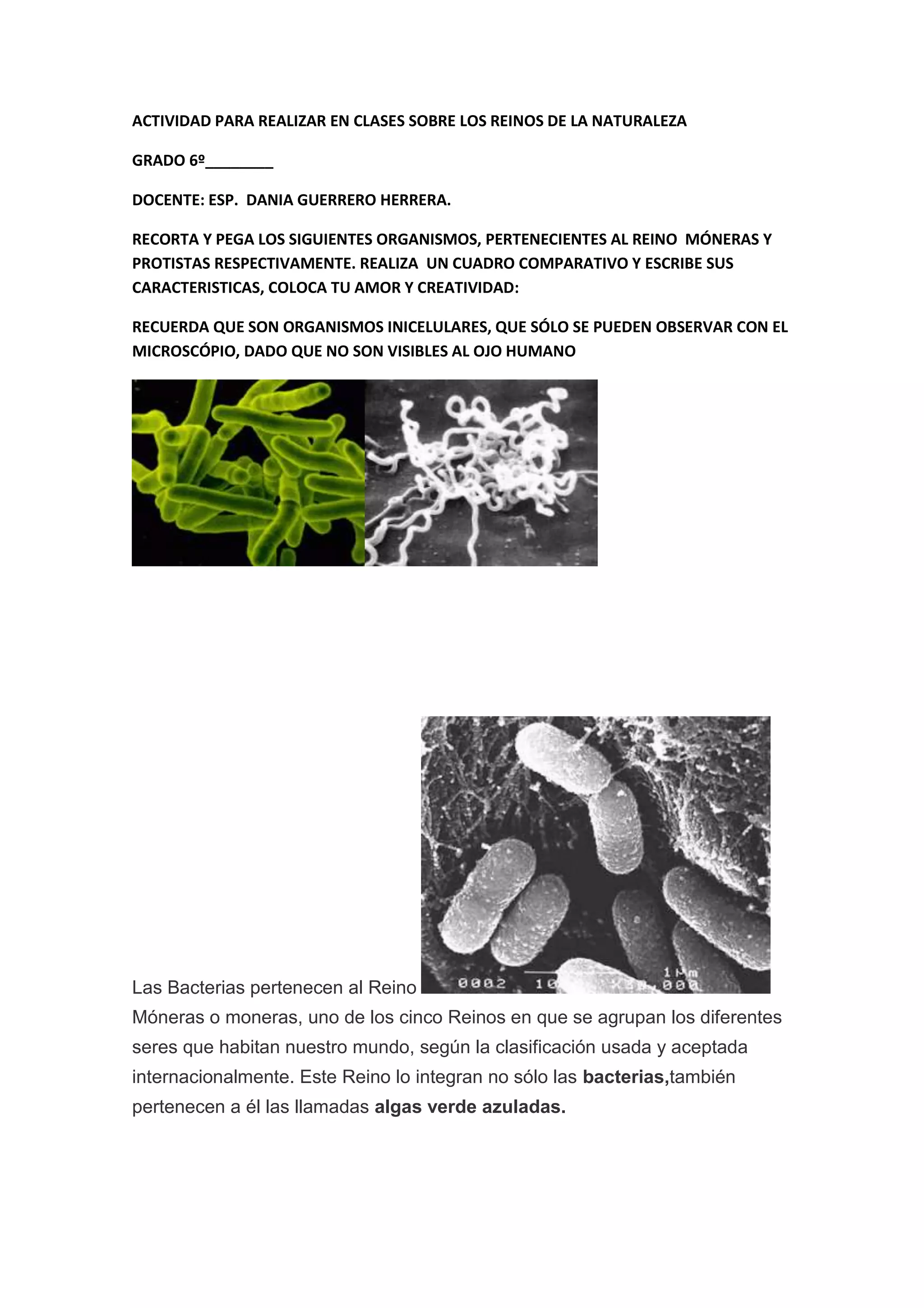 Actividad para realizar en clases sobre los reinos de la naturaleza Móneras  y Protistas. | DOCX