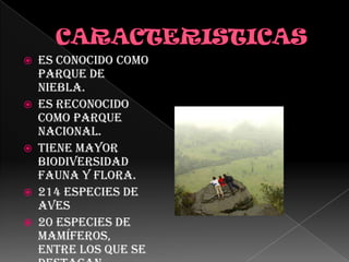   CARACTERISTICAS Es conocido como parque de niebla.Es reconocido como parque nacional.Tiene mayor biodiversidad fauna y flora.214 especies de aves20 especies de mamíferos, entre los que se destacan borujos de clima frío, osos de anteojos, venados, gatos de monte etc.