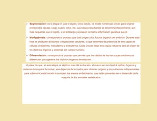 ➢ Segmentación: es la etapa en que el cigoto, única célula, se divide numerosas veces para originar
primero dos células, luego cuatro, ocho, etc. Las células resultantes se denominan blastómeros; son
más pequeñas que el cigoto, y sin embargo ya poseen la misma información genética que él.
➢ Morfogénesis: corresponde al proceso que dará origen a los futuros órganos del embrión. Durante esta
fase se producen divisiones y migraciones celulares, lo que determina la presencia de tres capas de
células: ectoderma, mesoderma y endoderma. Cada una de estas tres capas celulares será el origen de
los distintos órganos y sistemas del cuerpo humano.
➢ Diferenciación: corresponde al proceso que permite que las células de las tres capas celulares se
diferencien para generar los distintos órganos del embrión.
A pesar de que, en esta etapa, el séptimo mes del embarazo, el nuevo ser vivo tendrá tejidos, órganos y
sistemas listos para funcionar, aún depende de la madre para obtener oxígeno y los nutrientes indispensables
para sobrevivir; esta función la cumplen los anexos embrionarios, que están presentes en el desarrollo de la
mayoría de los animales vertebrados.
 