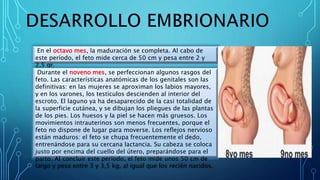 En el octavo mes, la maduración se completa. Al cabo de
este período, el feto mide cerca de 50 cm y pesa entre 2 y
2,5 gr.
Durante el noveno mes, se perfeccionan algunos rasgos del
feto. Las características anatómicas de los genitales son las
definitivas: en las mujeres se aproximan los labios mayores,
y en los varones, los testículos descienden al interior del
escroto. El laguno ya ha desaparecido de la casi totalidad de
la superficie cutánea, y se dibujan los pliegues de las plantas
de los pies. Los huesos y la piel se hacen más gruesos. Los
movimientos intrauterinos son menos frecuentes, porque el
feto no dispone de lugar para moverse. Los reflejos nervioso
están maduros: el feto se chupa frecuentemente el dedo,
entrenándose para su cercana lactancia. Su cabeza se coloca
justo por encima del cuello del útero, preparándose para el
parto. Al concluir este período, el feto mide unos 50 cm de
largo y pesa entre 3 y 3,5 kg, al igual que los recién nacidos.
 