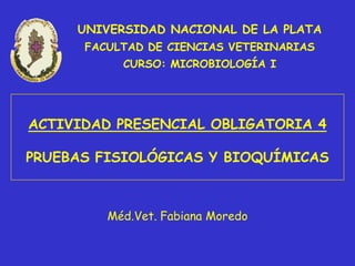 UNIVERSIDAD NACIONAL DE LA PLATA
      FACULTAD DE CIENCIAS VETERINARIAS
           CURSO: MICROBIOLOGÍA I




ACTIVIDAD PRESENCIAL OBLIGATORIA 4

PRUEBAS FISIOLÓGICAS Y BIOQUÍMICAS



         Méd.Vet. Fabiana Moredo
 