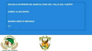 ESCUELA SUPERIOR DE AGRICULTURA DEL VALLE DEL FUERTE
GAMEZ OLAIS MARIO

MARINA MIREYA MIRANDA
1-1
SLIDESHARE

ES

07/02/2014

 