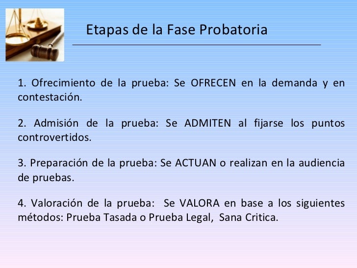 Actividad probatoria