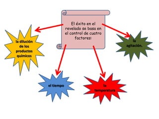 El éxito en el
                          revelado se basa en
                          el control de cuatro
                                factores:
la dilución                                                 la
   de los                                               agitación.
productos
 químicos




              el tiempo                       la
                                          temperatura
 