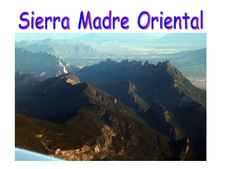 Actividad quintos