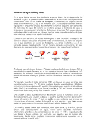 Ionización del agua: ácidos y bases 
En el agua líquida hay una leve tendencia a que un átomo de hidrógeno salte del 
átomo de oxígeno al que está unido covalentemente, al otro átomo de oxígeno al que 
se encuentra unido por un puente de hidrógeno . En esta reacción se producen dos 
iones: el ion hidronio (H3O+) y el ion hidróxido (OH-). En cualquier volumen dado de 
agua pura se encuentra ionizado de esta forma un número pequeño, pero constante, 
de moléculas de agua. El número es constante porque la tendencia del agua a 
ionizarse se contrapesa con la tendencia de los iones a reunirse. Así, aunque algunas 
moléculas están ionizándose, un número igual de otras moléculas está formándose; 
este estado se conoce como equilibrio dinámico. 
Cuando el agua se ioniza, un núcleo de hidrógeno (o sea, un protón) se desplaza del 
átomo de oxígeno al cual se encuentra unido covalentemente, al átomo de oxígeno 
con el que establece un puente de hidrógeno. Los iones resultantes son el ion 
hidróxido cargado negativamente y el ion hidronio cargado positivamente. En este 
diagrama, las esferas grandes representan al oxígeno y las pequeñas al hidrógeno. 
En el agua pura, el número de iones H+ iguala exactamente al número de iones OH- ya 
que ningún ion puede formarse sin el otro cuando solamente hay moléculas de H2O 
presentes. Sin embargo, cuando una sustancia iónica o una sustancia con moléculas 
polares se disuelve en el agua, pueden cambiar los números relativos de los iones H+ 
y OH-. 
Por ejemplo, cuando el ácido clorhídrico (HCl) se disuelve en agua, se ioniza casi 
completamente en iones H+ y Cl-; como resultado de esto, una solución de HCl (ácido 
clorhídrico) contiene más iones H+ que OH-. De modo inverso, cuando el hidróxido de 
sodio (NaOH) se disuelve en agua, forma iones Na+ y OH-; así, en una solución de 
hidróxido de sodio en agua hay más iones OH- que H+. 
Una solución es ácida cuando el número de iones H+ supera al número de iones OH-, 
de modo contrario, una solución es básica -o alcalina- cuando el número de iones OH- 
supera al número de iones H+. Así, un ácido es una sustancia que provoca un 
incremento en el número relativo de iones H+ en una solución, y una base es una 
sustancia que provoca un incremento en el número relativo de iones OH-. 
Los ácidos y bases fuertes son sustancias, tales como el HCl y el NaOH, que se 
ionizan casi completamente en agua, dando como resultado incrementos 
relativamente grandes en las concentraciones de iones H+ y OH-, respectivamente. 
Los ácidos y bases débiles, por contraste, son aquellos que se ionizan sólo 
ligeramente, dando como resultado incrementos relativamente pequeños en la 
concentración de iones H+ u OH-. 
 