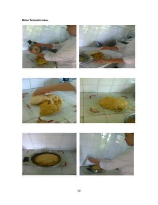 Unión fermento masa.




                       50
 