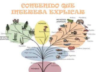 CONTENIDO QUE
INTERESA EXPLICAR
 