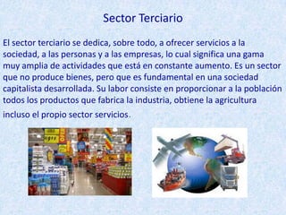 Sector Terciario
El sector terciario se dedica, sobre todo, a ofrecer servicios a la
sociedad, a las personas y a las empresas, lo cual significa una gama
muy amplia de actividades que está en constante aumento. Es un sector
que no produce bienes, pero que es fundamental en una sociedad
capitalista desarrollada. Su labor consiste en proporcionar a la población
todos los productos que fabrica la industria, obtiene la agricultura
incluso el propio sector servicios.

 