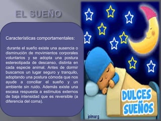 Características comportamentales:
durante el sueño existe una ausencia o
disminución de movimientos corporales
voluntarios y se adopta una postura
estereotipada de descanso, distinta en
cada especie animal. Antes de dormir
buscamos un lugar seguro y tranquilo,
adoptando una postura cómoda que nos
ayude a conciliar el sueño y un
ambiente sin ruido. Además existe una
escasa respuesta a estímulos externos
de baja intensidad que es reversible (a
diferencia del coma).
 