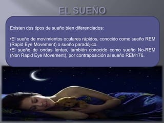Existen dos tipos de sueño bien diferenciados:
•El sueño de movimientos oculares rápidos, conocido como sueño REM
(Rapid Eye Movement) o sueño paradójico.
•El sueño de ondas lentas, también conocido como sueño No-REM
(Non Rapid Eye Movement), por contraposición al sueño REM176.
 