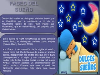 Dentro del sueño se distinguen distintas fases que
se identifican por la existencia o no de un
movimiento rápido de ojos REM (Rapid Eye
Movement), que es visible debajo del párpado para
el observador.
En el sueño no-REM (NREM) que se llama también
sueño lento, se distinguen también cuatro etapas
(Bobes, Diaz y Bomper, 1999):
•La Etapa 1 de transición de la vigilia al sueño,
ocupa cerca del 5% del tiempo de sueño en adultos
sanos, desaparecen las ondas alfa que en el EEG
corresponden a la vigilia y son substituidas por
ondas más lentas (ondas theta) propias del sueño
NREM. También aparece un enlentecimiento del
latido cardíaco. Durante esta fase, el sueño es
fácilmente interrumpible. Esta etapa dura pocos
minutos.
 