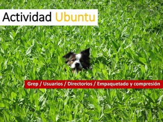 Actividad Ubuntu
Grep / Usuarios / Directorios / Empaquetado y compresión
 