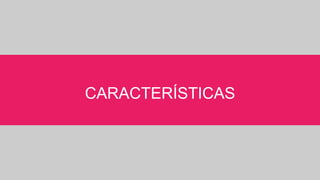 CARACTERÍSTICAS
 