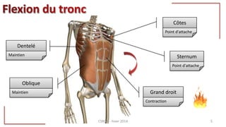 Côtes
Point d'attache
Oblique
Maintien
Dentelé
Maintien Sternum
Point d'attache
Grand droit
Contraction
CSRDN - hiver 2014 5
 