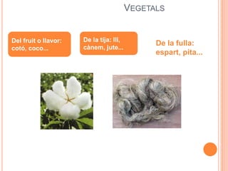 VEGETALS
Del fruit o llavor:
cotó, coco...
De la tija: lli,
cànem, jute...
De la fulla:
espart, pita...
 