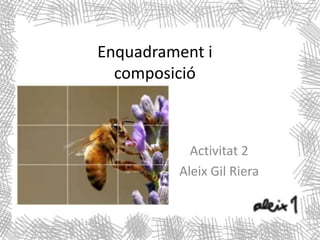 Enquadrament i
  composició



           Activitat 2
         Aleix Gil Riera
 