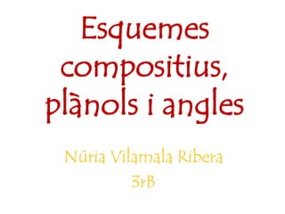 Esquemes
 compositius,
plànols i angles
 Núria Vilamala Ribera
          3rB
 
