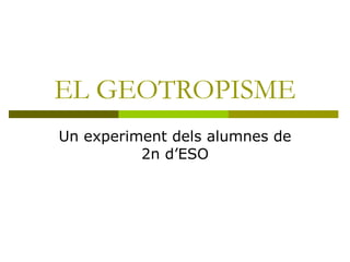 EL GEOTROPISME Un experiment dels alumnes de 2n d’ESO 