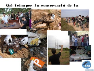 Què f ei m per l a c ons ervac i ó de l a
m l ana?  
 i
 