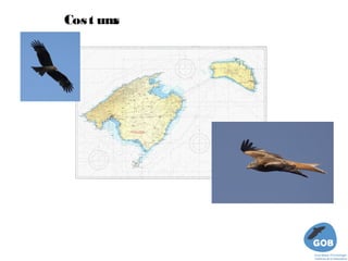 Cos t um  
        s
 