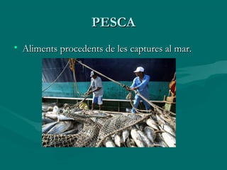 PESCA
• Aliments procedents de les captures al mar.
 