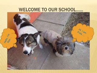 WELCOME TO OUR SCHOOL…… Hi, I am Pufa…. Hello, I’m  Rex… 
