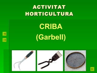 ACTIVITAT HORTICULTURA CRIBA (Garbell) 