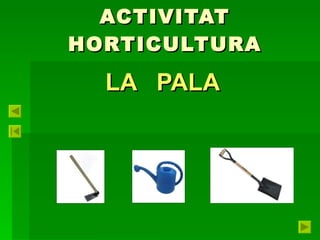 ACTIVITAT HORTICULTURA LA  PALA 