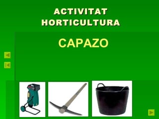 ACTIVITAT HORTICULTURA CAPAZO 