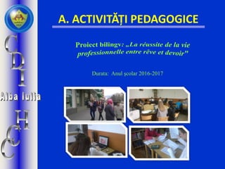 A. ACTIVITĂȚI PEDAGOGICE
Durata: Anul școlar 2016-2017
 