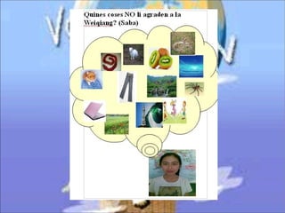 Activitats Voltem 2013