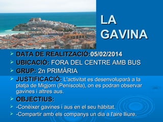 LA
GAVINA





DATA DE REALITZACIÓ:05/02/2014
UBICACIÓ: FORA DEL CENTRE AMB BUS
GRUP: 2n PRIMÀRIA
JUSTIFICACIÓ: L'activitat es desenvoluparà a la

platja de Migjorn (Peníscola), on es podran observar
gavines i altres aus.


OBJECTIUS:



-Conèixer gavines i aus en el seu hàbitat.
-Compartir amb els companys un dia a l'aire lliure.



 