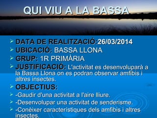 QUI VIU A LA BASSA
 DATA DE REALITZACIÓ:26/03/2014
 UBICACIÓ: BASSA LLONA
 GRUP: 1R PRIMÀRIA
 JUSTIFICACIÓ: L'activitat es desenvoluparà a

la Bassa Llona on es podran observar amfibis i
altres insectes.

 OBJECTIUS:




-Gaudir d'una activitat a l'aire lliure.
-Desenvolupar una activitat de senderisme.
-Conèixer característiques dels amfibis i altres
insectes.

 