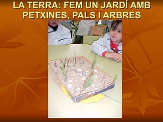 LA TERRA: FEM UN JARDÍ AMB PETXINES, PALS I ARBRES 