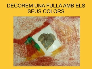 DECOREM UNA FULLA AMB ELS SEUS COLORS 