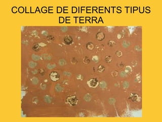COLLAGE DE DIFERENTS TIPUS DE TERRA 