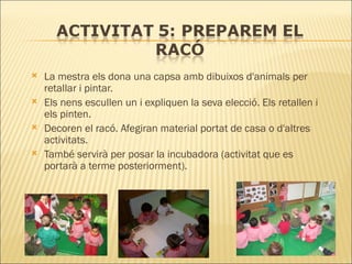 La mestra els dona una capsa amb dibuixos d'animals per retallar i pintar.  Els nens escullen un i expliquen la seva elecció. Els retallen i els pinten.  Decoren el racó. Afegiran material portat de casa o d'altres activitats.  També servirà per posar la incubadora (activitat que es portarà a terme posteriorment). 