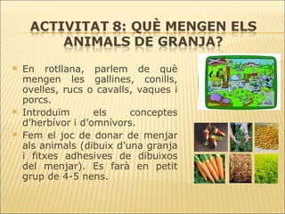 En rotllana, parlem de què mengen les gallines, conills, ovelles, rucs  o cavalls, vaques  i porcs.  Introduïm  els  conceptes d’herbívor   i d’omnívors . Fem el joc de donar de menjar als animals (dibuix d’una granja i fitxes adhesives de dibuixos del menjar). Es farà en petit grup de 4-5 nens.  