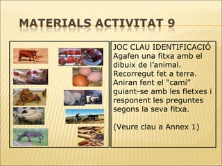   JOC CLAU IDENTIFICACIÓ Agafen una fitxa amb el dibuix de l’animal. Recorregut fet a terra. Aniran fent el “camí” guiant-se amb les fletxes i responent les preguntes segons la seva fitxa. (Veure clau a Annex 1) 
