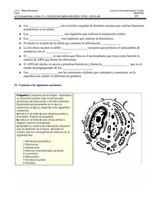C.E.A. “Miguel Hernández”                                                Acceso a: Universidad mayores 25 años
Ceuta                                                                                              BIOLOGÍA
ACTIVIDADES DEL TEMA Nº 2: NIVELES DE ORGANIZACIÓN. NIVEL CELULAR                                   11


         Los ___________________, son vesículas cargadas de distintas enzimas que realizan funciones
         metabólicas en la célula..
         Las ______________________ son orgánulos que realizan la respiración celular.
         Los ____________________ son orgánulos que realizan la fotosíntesis.
         El núcleo es la parte de la célula que contiene la información ____________.
         La envoltura nuclear es doble ________________ con poros que permiten el intercambio de
         sustancias con el ________________.
         El ________________ es una esfera que flota en el nucleoplasma que tiene como función la
         síntesis de ARN que forma los ribosomas.
         El ADN del núcleo se asocia a proteínas histónicas y forma la _________________ que es el
         estado desempaquetado de los ___________________.
         Los __________________ son las estructuras celulares que contienen y mantienen, en la
         reproducción celular, la información genética.

33. Contesta a las siguientes cuestiones.
 