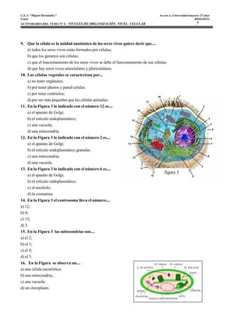 C.E.A. “Miguel Hernández”                                                          Acceso a: Universidad mayores 25 años
Ceuta                                                                                                        BIOLOGÍA
ACTIVIDADES DEL TEMA Nº 2: NIVELES DE ORGANIZACIÓN. NIVEL CELULAR                                             7



9. Que la célula es la unidad anatómica de los seres vivos quiere decir que....
   a) todos los seres vivos están formados por células;
   b) que los gametos son células;
   c) que el funcionamiento de los seres vivos se debe al funcionamiento de sus células;
   d) que hay seres vivos unicelulares y pluricelulares.
10. Las células vegetales se caracterizan por...
    a) no tener orgánulos;
    b) por tener plastos y pared celular;
    c) por tener centriolos;
    d) por ser más pequeñas que las células animales.
11. En la Figura 3 lo indicado con el número 12 es....
    a) el aparato de Golgi;
    b) el retículo endoplasmático;
    c) una vacuola;
    d) una mitocondria.
12. En la Figura 3 lo indicado con el número 2 es....
    a) el aparato de Golgi;
    b) el retículo endoplasmático granular;
    c) una mitocondria;
    d) una vacuola.
13. En la Figura 3 lo indicado con el número 6 es....
                                                                                      figura 3
    a) el aparato de Golgi;
    b) el retículo endoplasmático;
    c) el nucléolo;
    d) la cromatina.
14. En la Figura 3 el centrosoma lleva el número....
a) 12;
b) 4;
c) 15;
d) 3.
15. En la Figura 3 las mitocondrias son....
a) el 2;
b) el 1;
c) el 4;
d) el 3.
16. En la Figura se observa un....
a) una célula eucariótica;
b) una mitocondria;
c) una vacuola;
d) un cloroplasto.
 