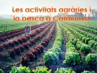 Les activitats agràries i la pesca a Catalunya Carlos Peralta Barea 