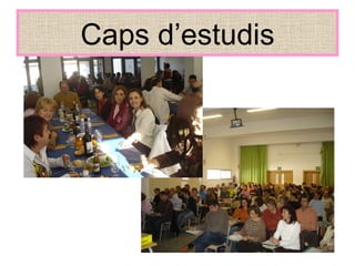 Caps d’estudis 