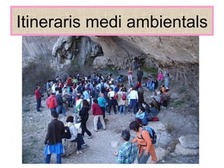 Itineraris medi ambientals 