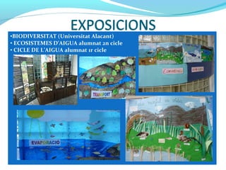EXPOSICIONS
•BIODIVERSITAT (Universitat Alacant)
• ECOSISTEMES D’AIGUA alumnat 2n cicle
• CICLE DE L’AIGUA alumnat 1r cicle
EXPOSICIONS
 