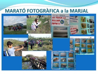 MARATÓ FOTOGRÀFICA a la MARJAL
 